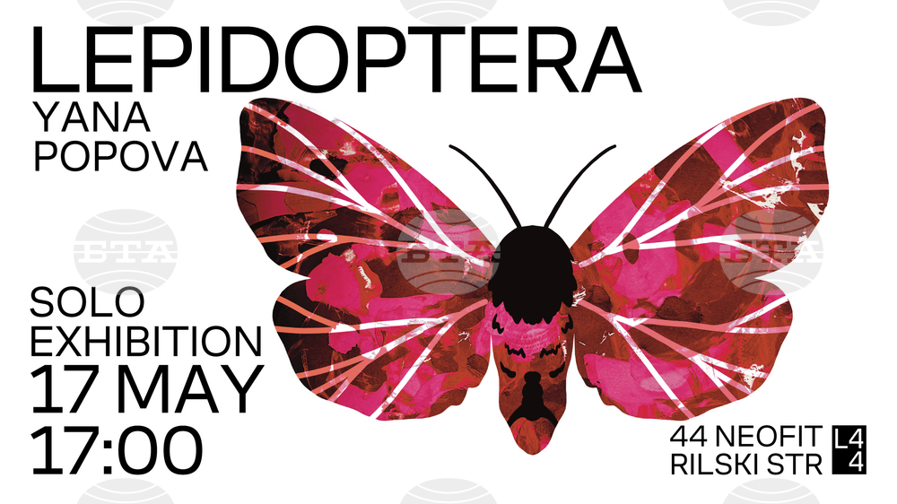 Яна Попова рисува нощни пеперуди и живи цветя в дебютната си изложба Lepidoptera