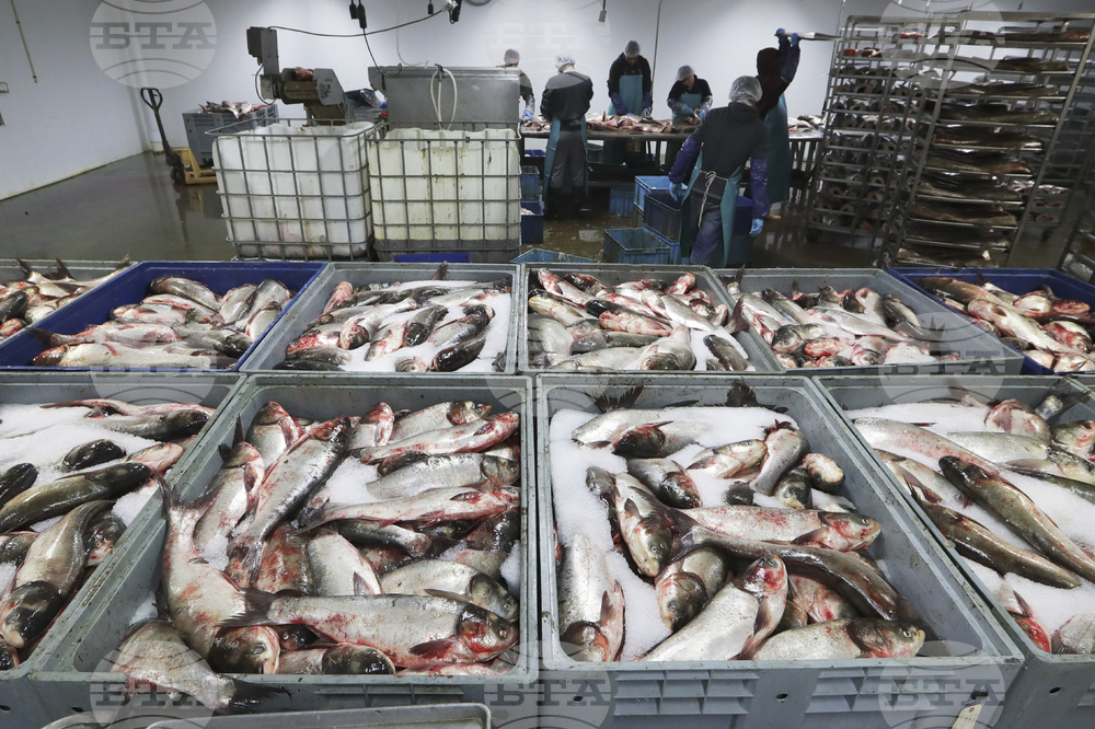US Invasive Carp-Great Lakes-Spending