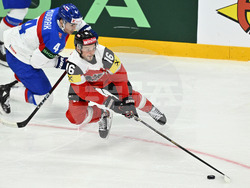 Sweden Hockey Worlds