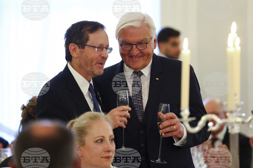 Germany Politics