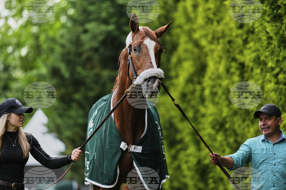 Preakness Horse Racing