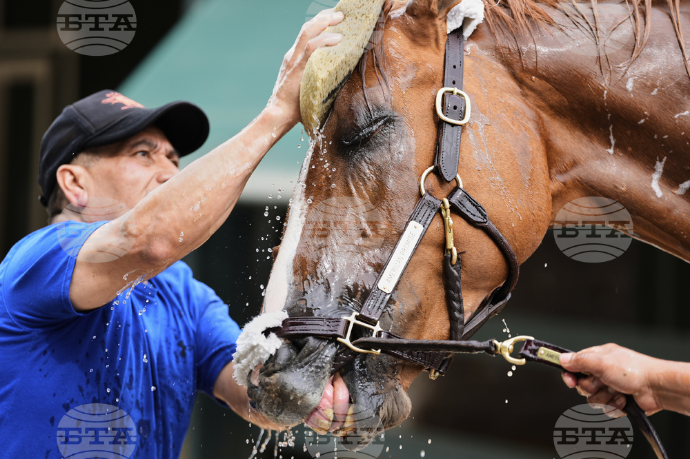 Preakness Horse Racing