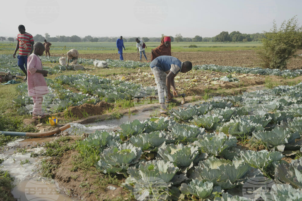 Nigeria Drying Rivers
