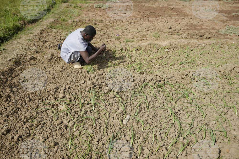 Nigeria Drying Rivers