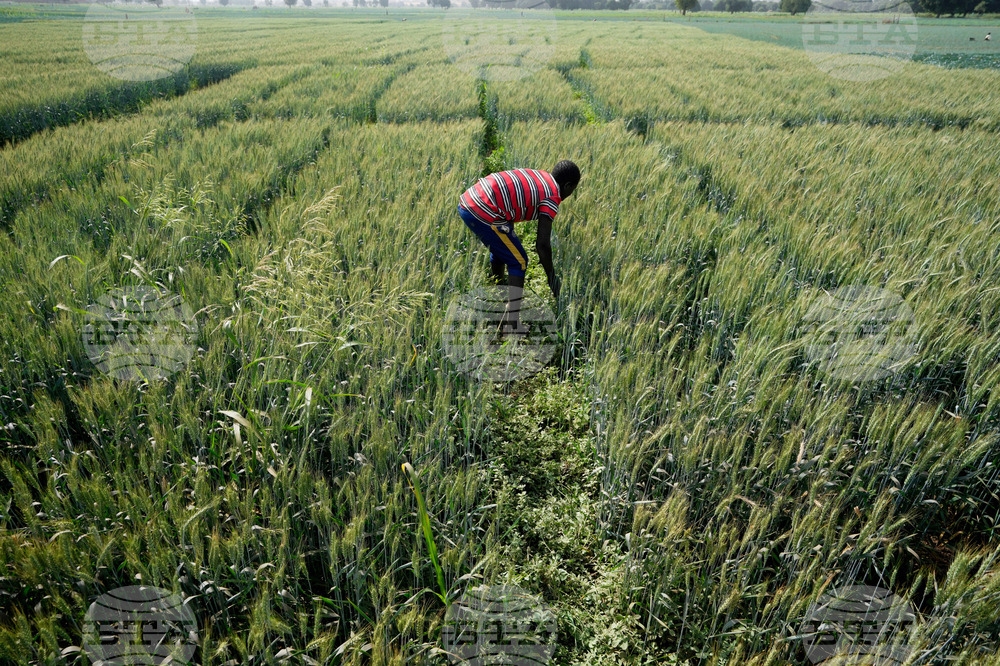 Nigeria Drying Rivers