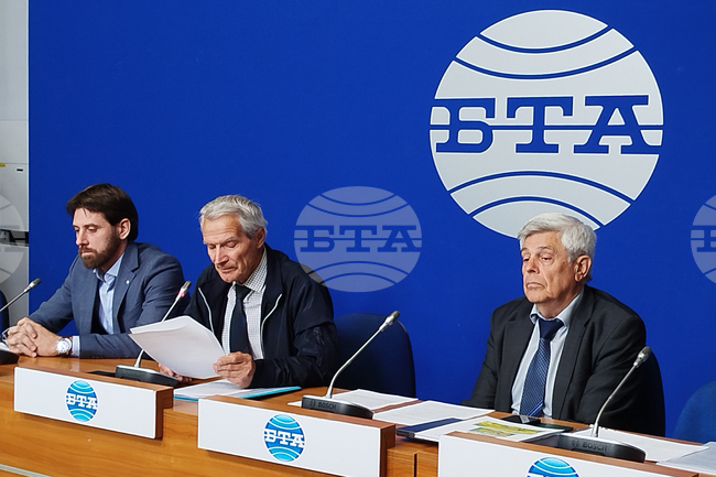 Beekeepers Warn of Alarmingly High Bee Mortality