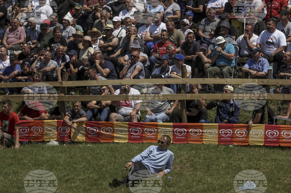 Bosnia Bullfighting Girl