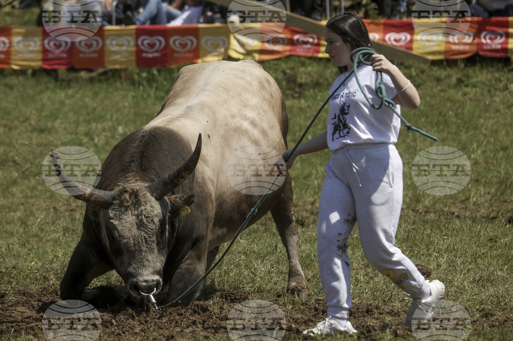 Bosnia Bullfighting Girl
