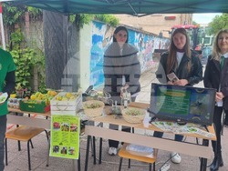 Търговище - панорама - професионално образование