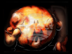 Bread Will Walk, Александър Бояджиев