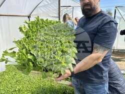 Снимка: Национална асоциация на тютюнопроизводителите 2010