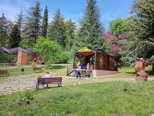 Зоопарк Стара Загора обявява ранни записвания за Летните Зооучилища под формата на тематични лагери