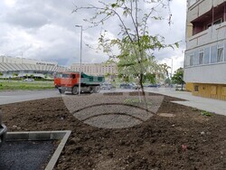 Снимка: Община Шумен