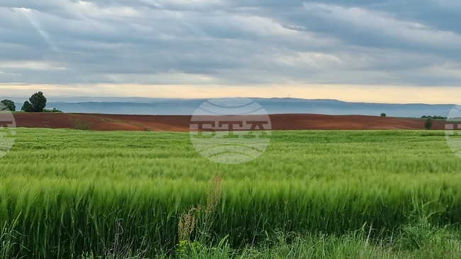 Прогноза за времето 