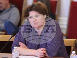 Народно събрание - Временна комисия - безопасност по пътищата - заседание