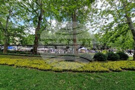 Хасково - Панорама на професиите