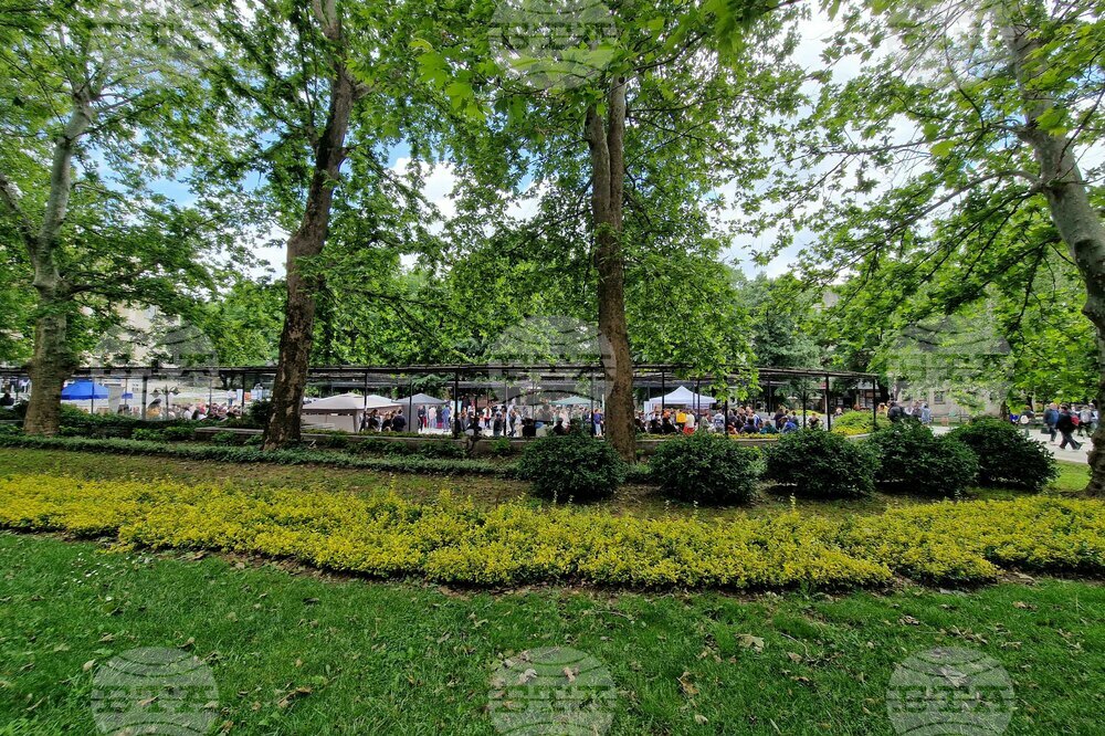 Хасково - Панорама на професиите