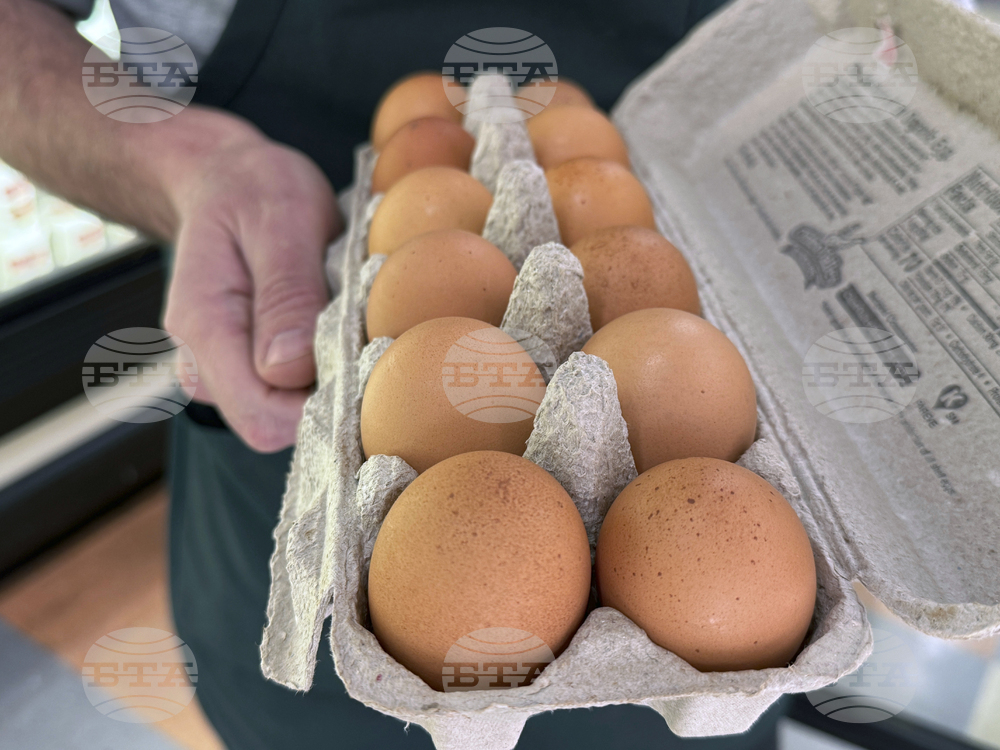 US Egg Prices