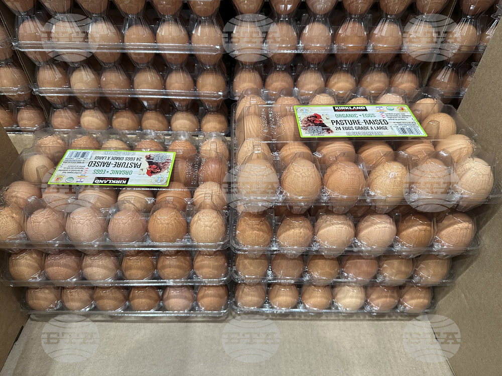 US Egg Prices