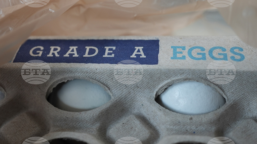 US Egg Prices