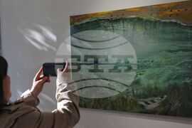 Греди Асса - изложба