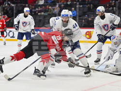 Sweden Hockey Worlds