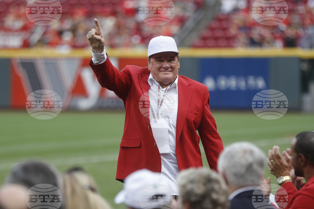 Rose Jackson Reinstated Baseball