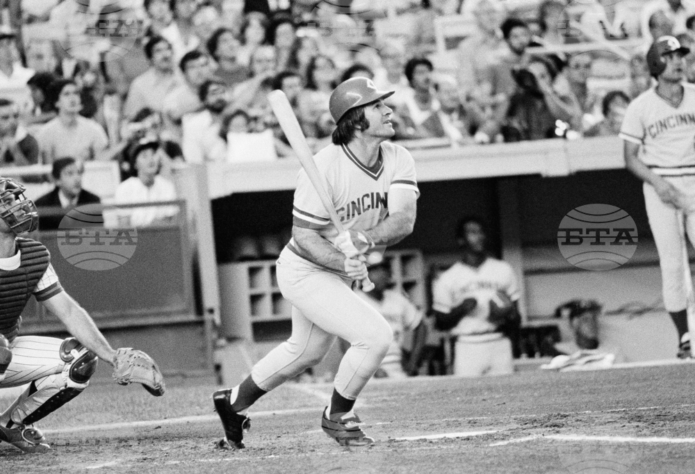 Rose Jackson Reinstated Baseball