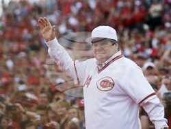 Rose Jackson Reinstated Baseball