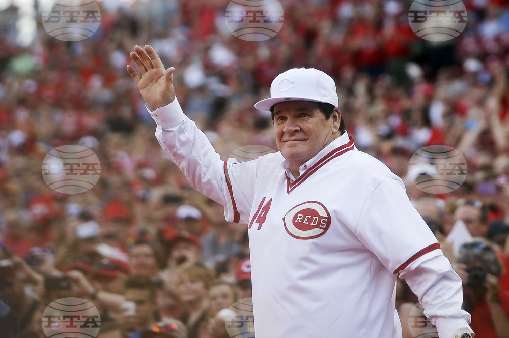 Rose Jackson Reinstated Baseball