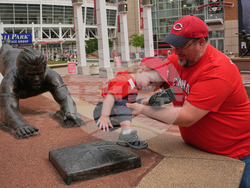 Rose Jackson Reinstatement Baseball