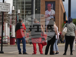 Rose Jackson Reinstatement Baseball