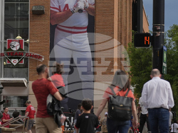 Rose Jackson Reinstatement Baseball