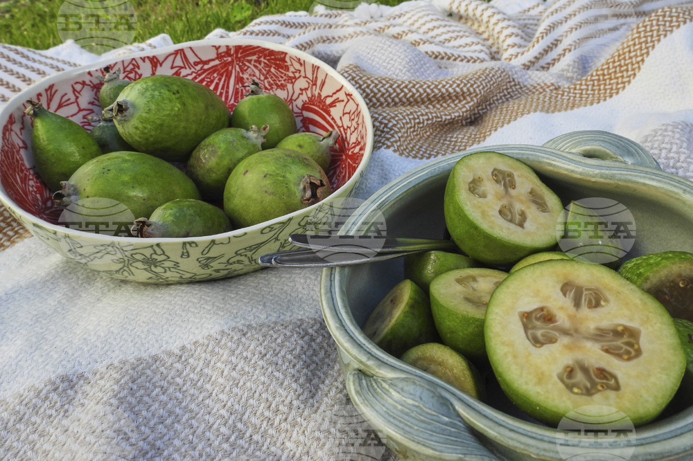 New Zealand Feijoas