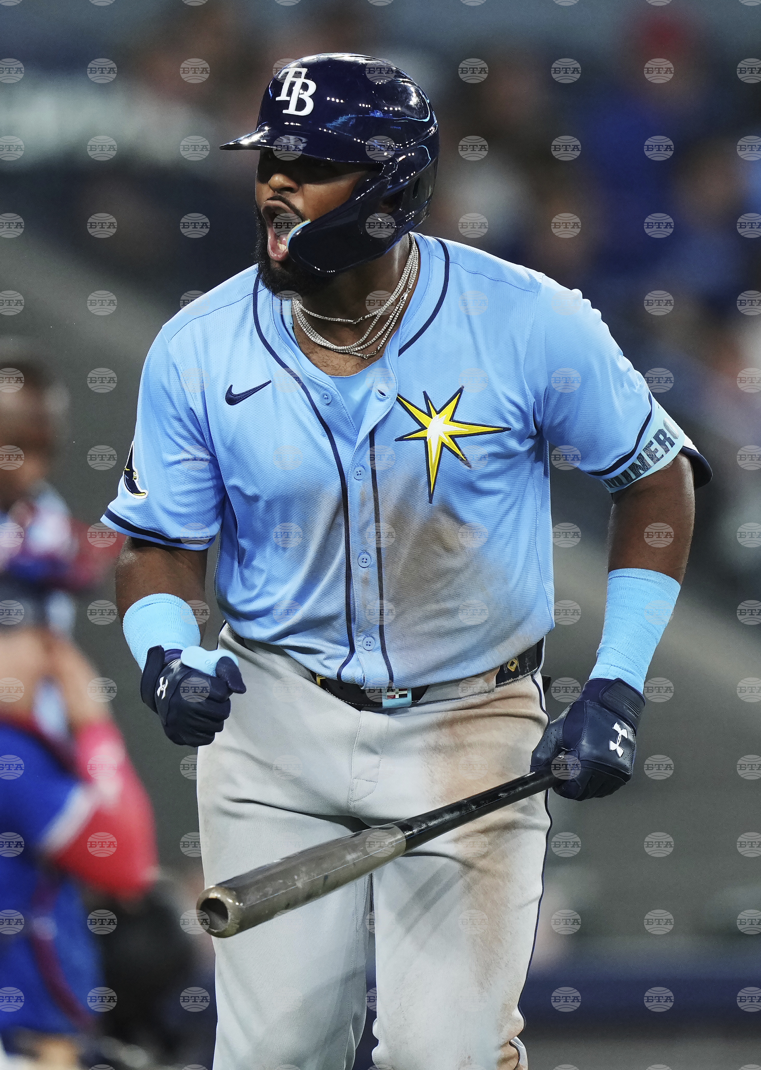 Rays Blue Jays Baseball