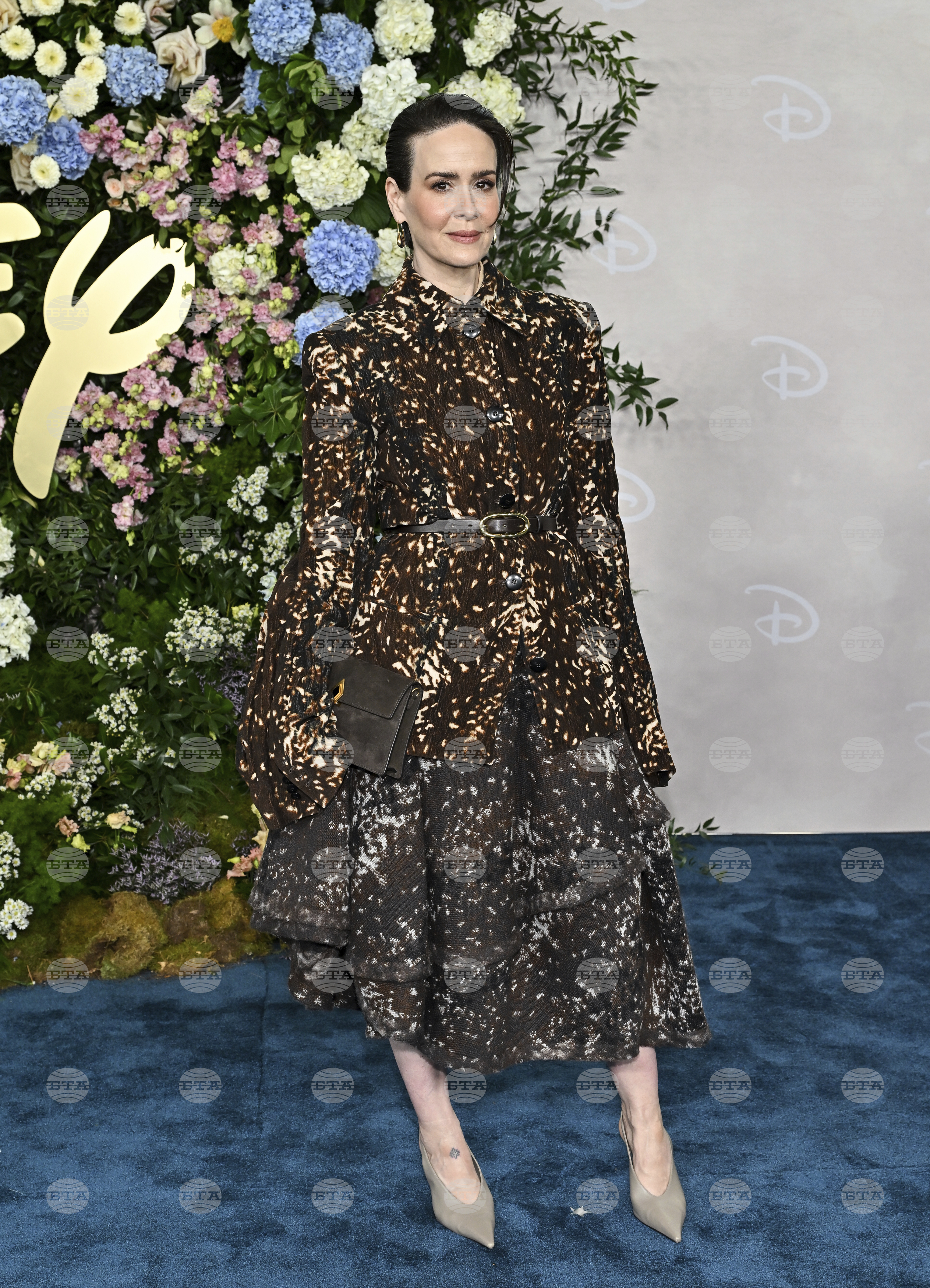 Disney 2025 Upfront Presentation