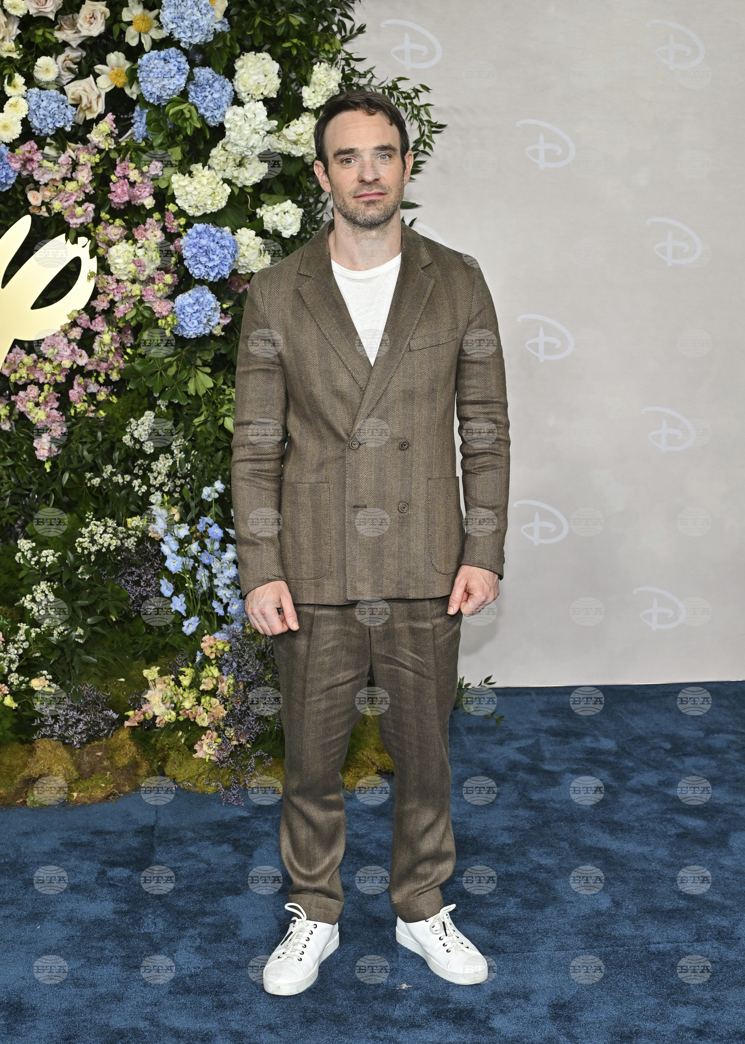 Disney 2025 Upfront Presentation