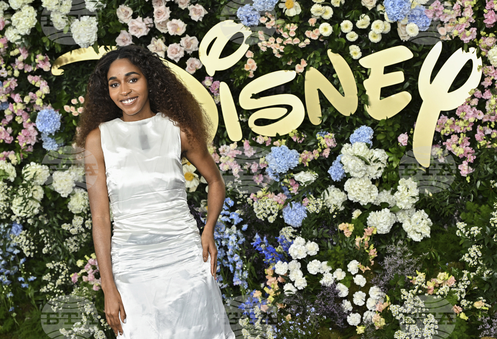 Disney 2025 Upfront Presentation