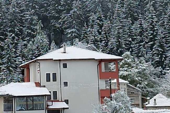 Сняг валя тази нощ в няколко родопски села от Пловдивска област