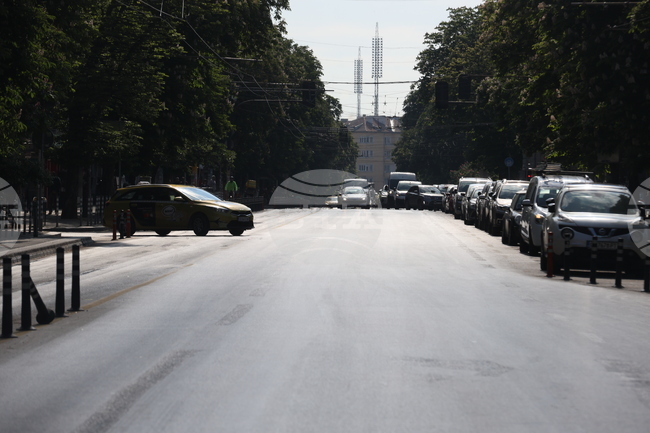 Surface Public Transport in Sofia Remains Suspended on Monday, Metro Operational
