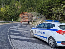 Рожен - пожар - тир