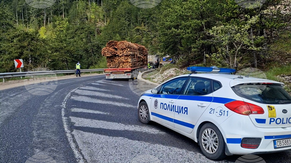 Рожен - пожар - тир