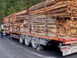 Рожен - пожар - тир