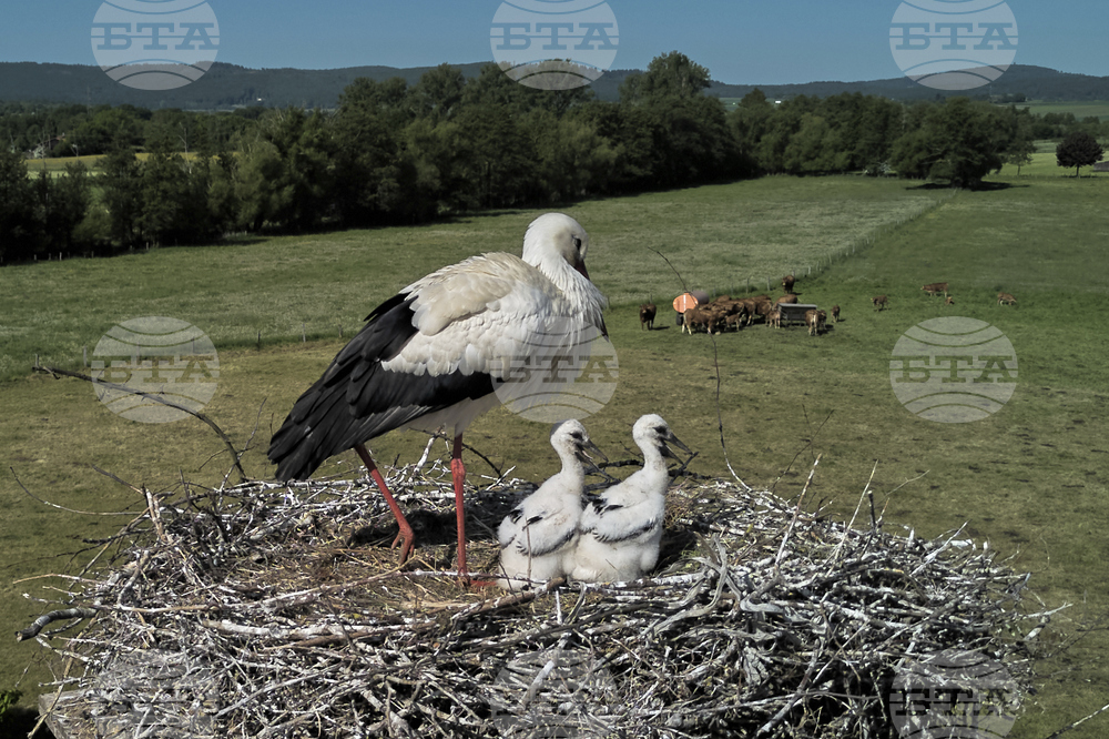 Germany Daily Life