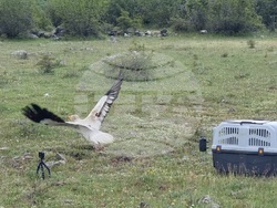 Село Чобанка – лешояд – пускане