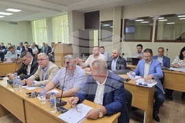 Плевен - Общински съвет - бюджет