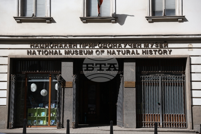 Отбелязваме Международния ден на музеите, датата 18 май е избрана по предложение на българската делегация по време на Генералната асамблея на ИКОМ през 1977 г.