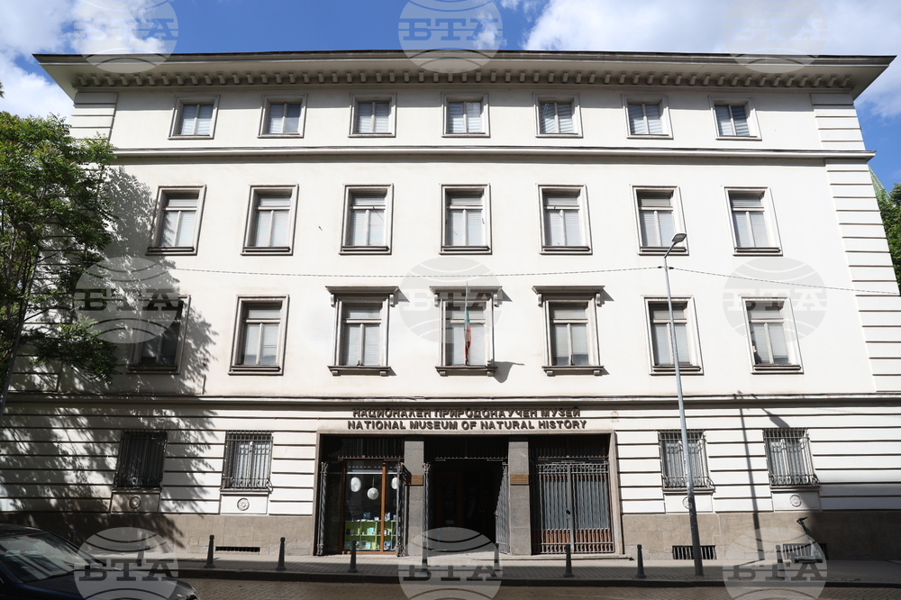 Националният природонаучен музей при БАН прави презентации, беседи и игри за деца