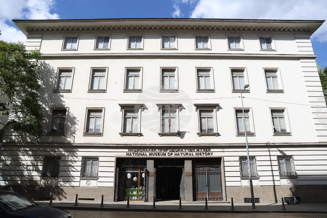 Националният природонаучен музей при БАН прави презентации, беседи и игри за деца