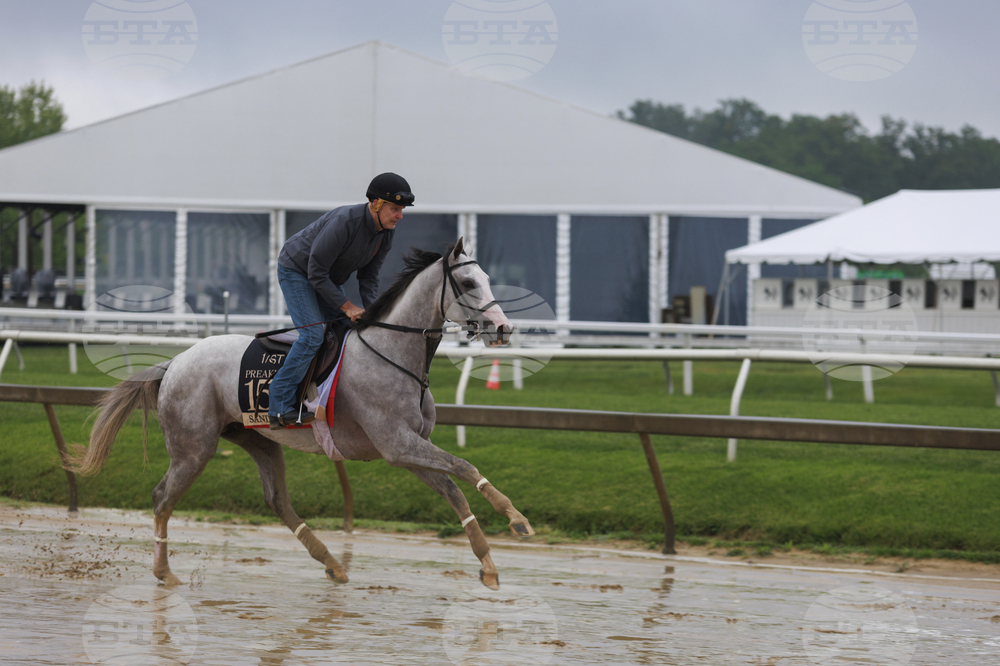 Preakness Horse Racing